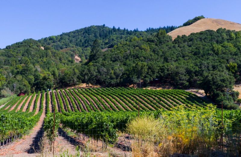 Best Bathroom Remodeling pros in Bolingbrook, IL